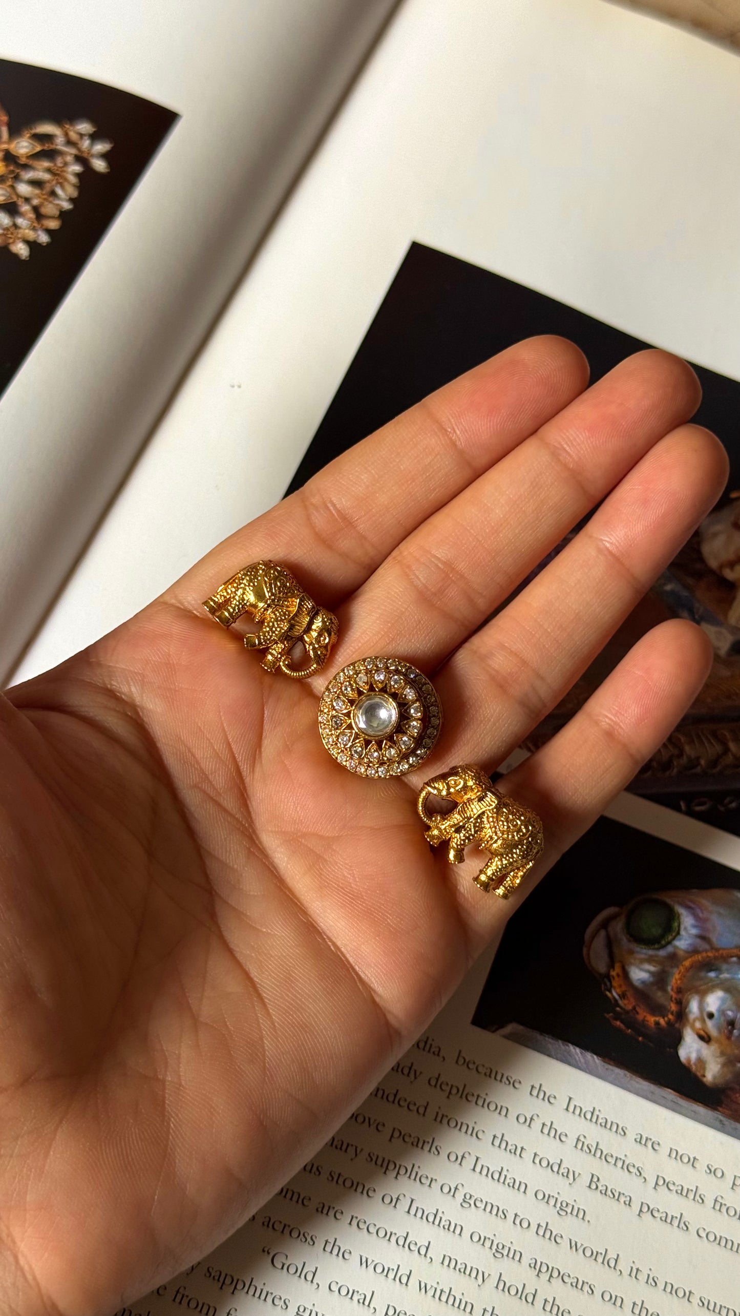 Gaj inspired double finger ring